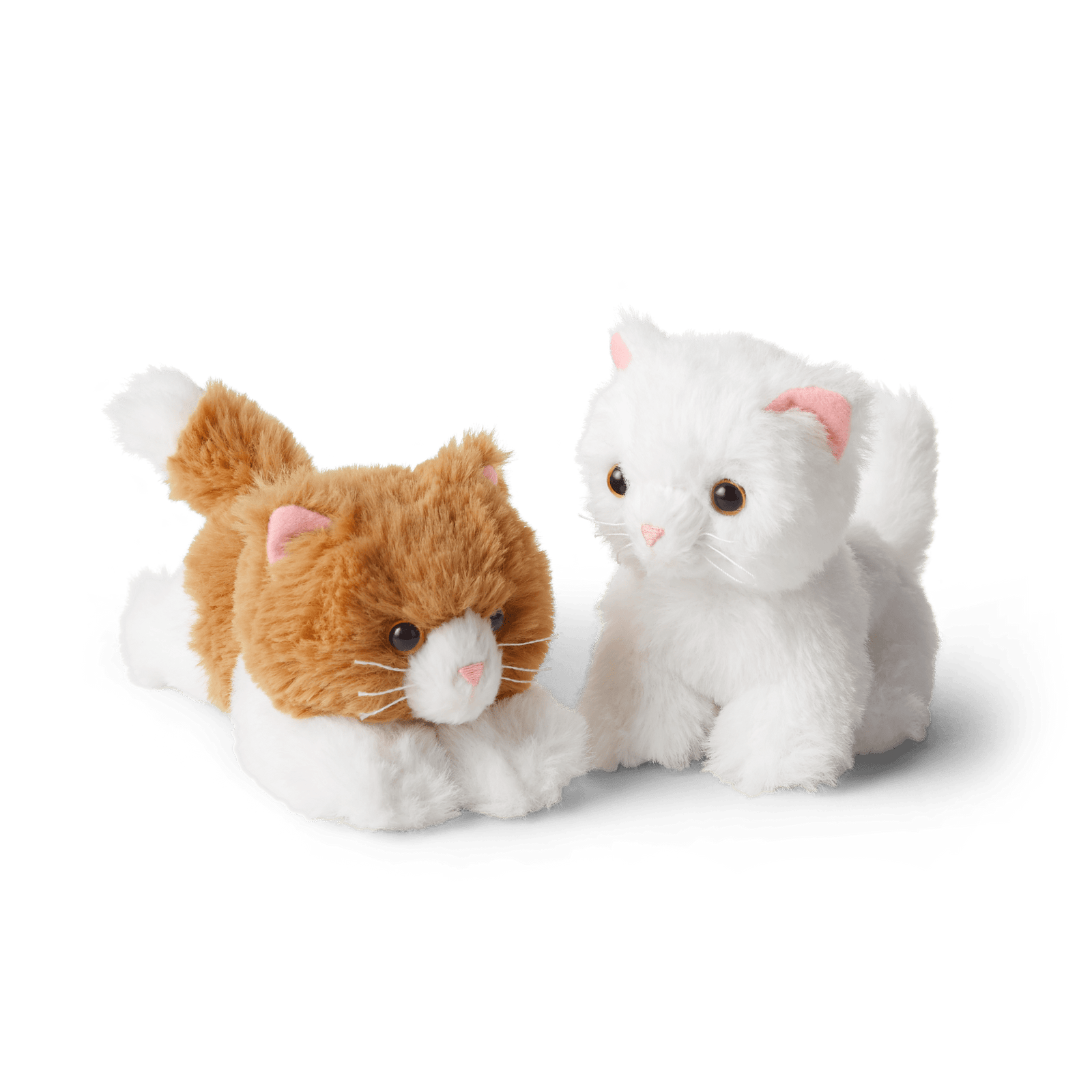 Rebecca’s™ Kittens (Historical Characters) Q5