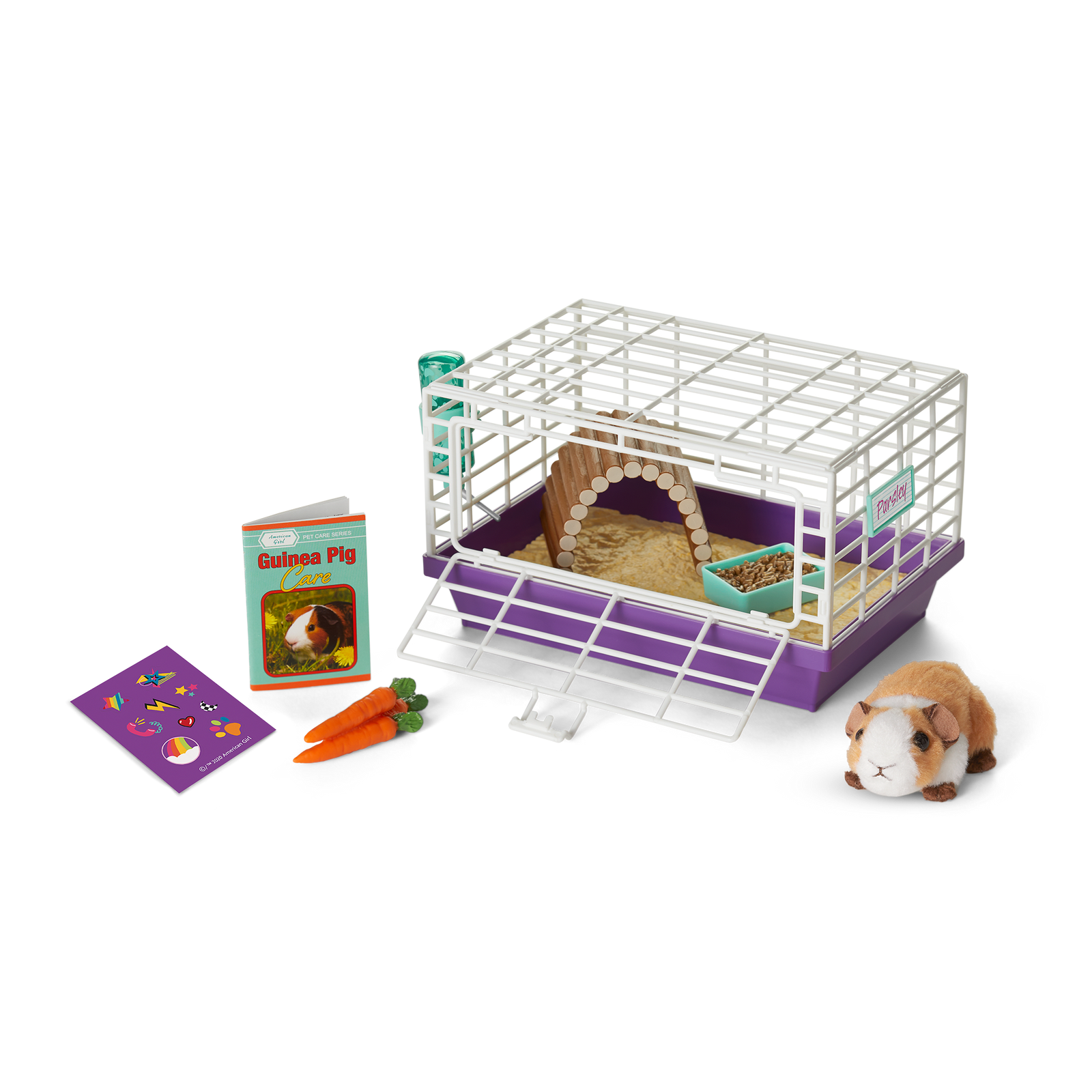 Courtney's™ Guinea Pig (Historical Characters) P6